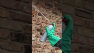 The Quick Guide to Controlling Paper Wasps! [DIY Pest Control]