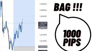 How to make money trading Forex | The real Strategy to catch 1000pips | Investors talk EP1