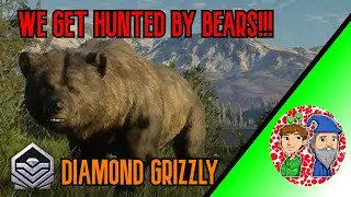 HUGE DIAMOND grizzly on bear hunt!!!! #cotw #live