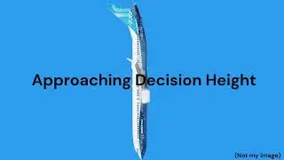 Boeing National Anthem With captions (extended Credit:@FrenchieAviation   )