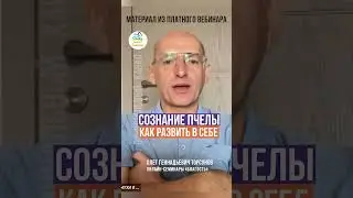 Сознание пчелы