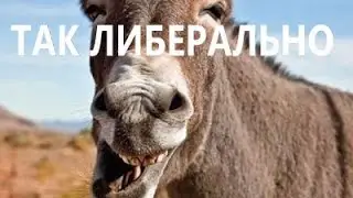 На кого работает либеральная пропаганда?