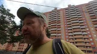 Ночной кошмар в Дмитрове. Пришла банда бродячих собак и давай гонять местных кошек нашего дома