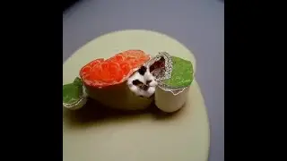 CLIP Guided Diffusion (Text-to-Image): sushi cat