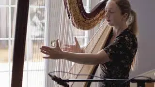 Enchanted by Taylor Swift Harp Cover