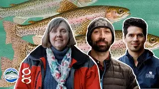 Rainbow Trout Conservation | Researchers Revealed |  