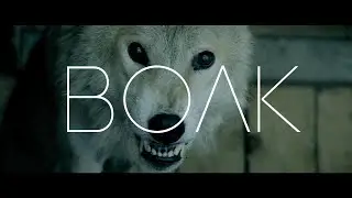 Волк