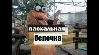 Пасхальная белочка в реабилитационном центре для хищников/// пасхальная лотерея