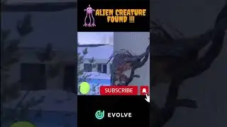 Alien Creature Found | New Species | #alien #shorts #viral