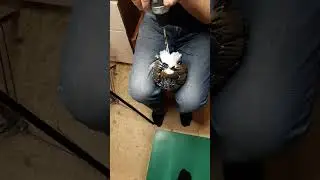 #копилка