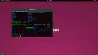 Beginning C programming: Displaying an Output