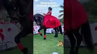 Quinceañera Bailando Su Caballo 