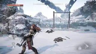 Horizon Zero Dawn™