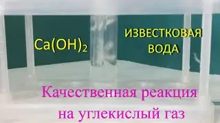 Качественная реакция на углекислый газ.