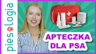 apteczka dla psa