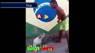 Dog dancing to Super Star Saga obliterates its owner