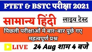 Hindi Important Questions | Ptet classes for 2021| Bstc 2021