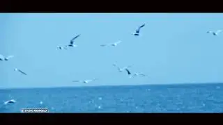 Toymyrat İshandurdyyev-Kän Salam
