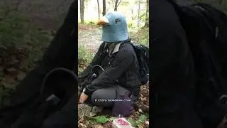 Странный эксперимент