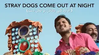 Stray Dogs Come Out at Night