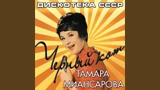 Чёрный кот