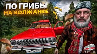 Grandpa Went Mushroom Picking! Profitable or Not? (MTA Province)