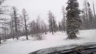 Воскресная прогулка по лесу…