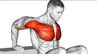8 Best Chest Workout  | Bigger Chest Exercise