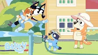 🐒 Grossa Scimmia Blu | Zoo | Bluey | Bluey Italiano Canale Ufficiale 💙 🇮🇹