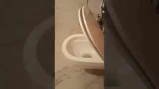 Душевая кабина, ванна и унитаз в одном санузле✅