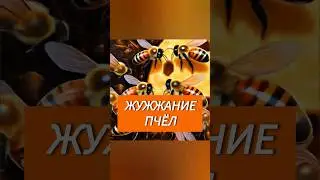 Активируй энергию за 10 секунд