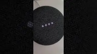 Google Home vs Alexa: How strong is an ant? 🐜🐜🐜