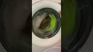 WashingMachine OPEN DOOR MEGA UNBALANCED 