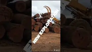 AZOBE LOGS FOR SALE