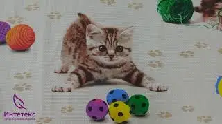 Комплект постельного белья Усатый-полосатый 1 бязь