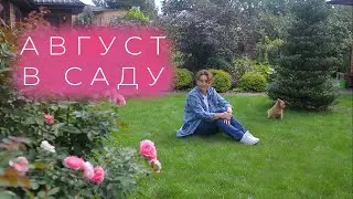 August in the Garden I Lyudmila Kudasova's Garden