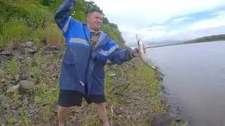 Рыбалка на Амуре на резинку. Бешеный клёв в дождливую погоду.