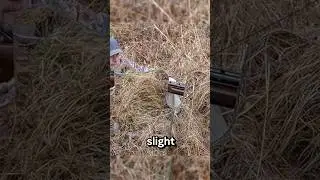 Mirror ghillie or traditional ghillie? What do you guys think? #airsoft #warzone #funny