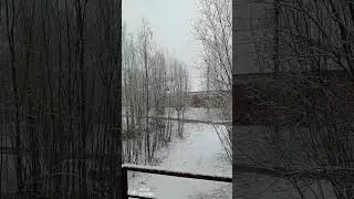 23 мая 2024 г.