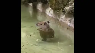 Никуда не спешу