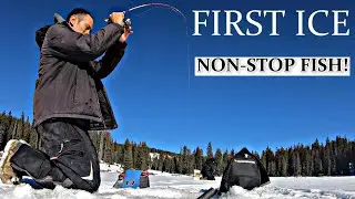 FIRST ICE: Early Ice (Ice Fishing RAINBOW TROUT)