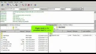 FTP - Managing Files in FileZilla