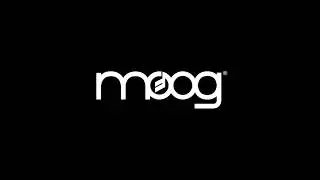 Moog Music Has Sold The Company
