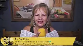 Pet Ary Coelho