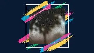 Spider Web-Photography by BE PhotoMaker || Shot on Canon EOS 600D || 