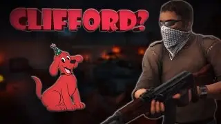 CLIFFORD? (CS:GO Competitive Highlights #9)