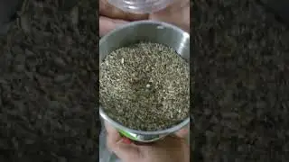 Tohum öğütme makinasını test ettik