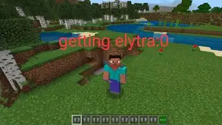 trying to get elytra