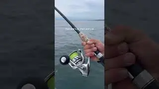 A great day fishing for striper in Boston #fishing #boston #massachusetts