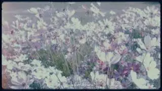 AeS!a - อยากให้รู้ (Official Lyric)